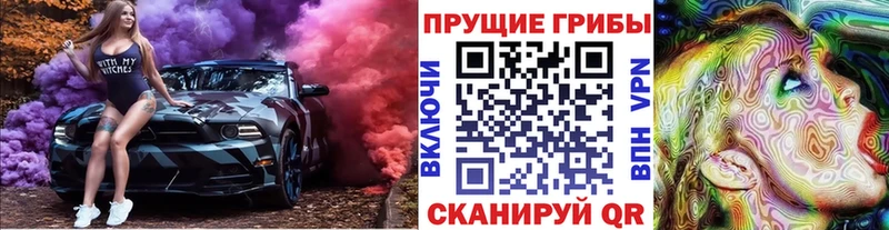 Купить  Жиздра  Псилоцибиновые грибы Psilocybe 