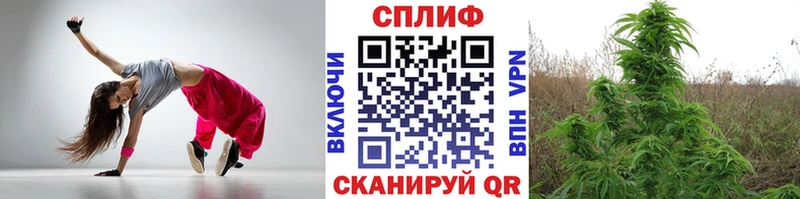 Купить где  Жиздра  Канабис конопля 